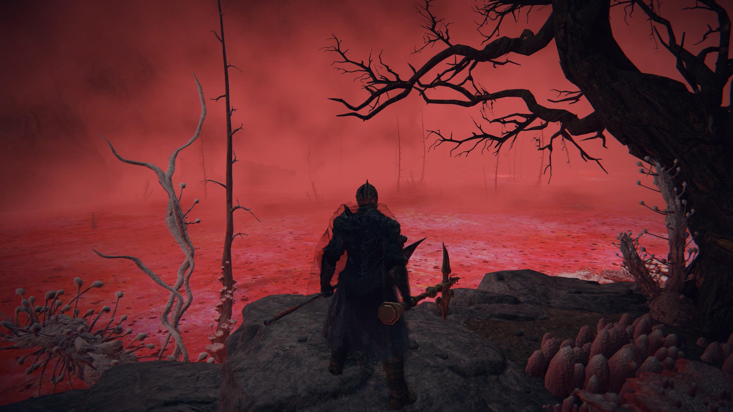 Mastering Elden Ring’s Lake of Rot: A Survival Guide